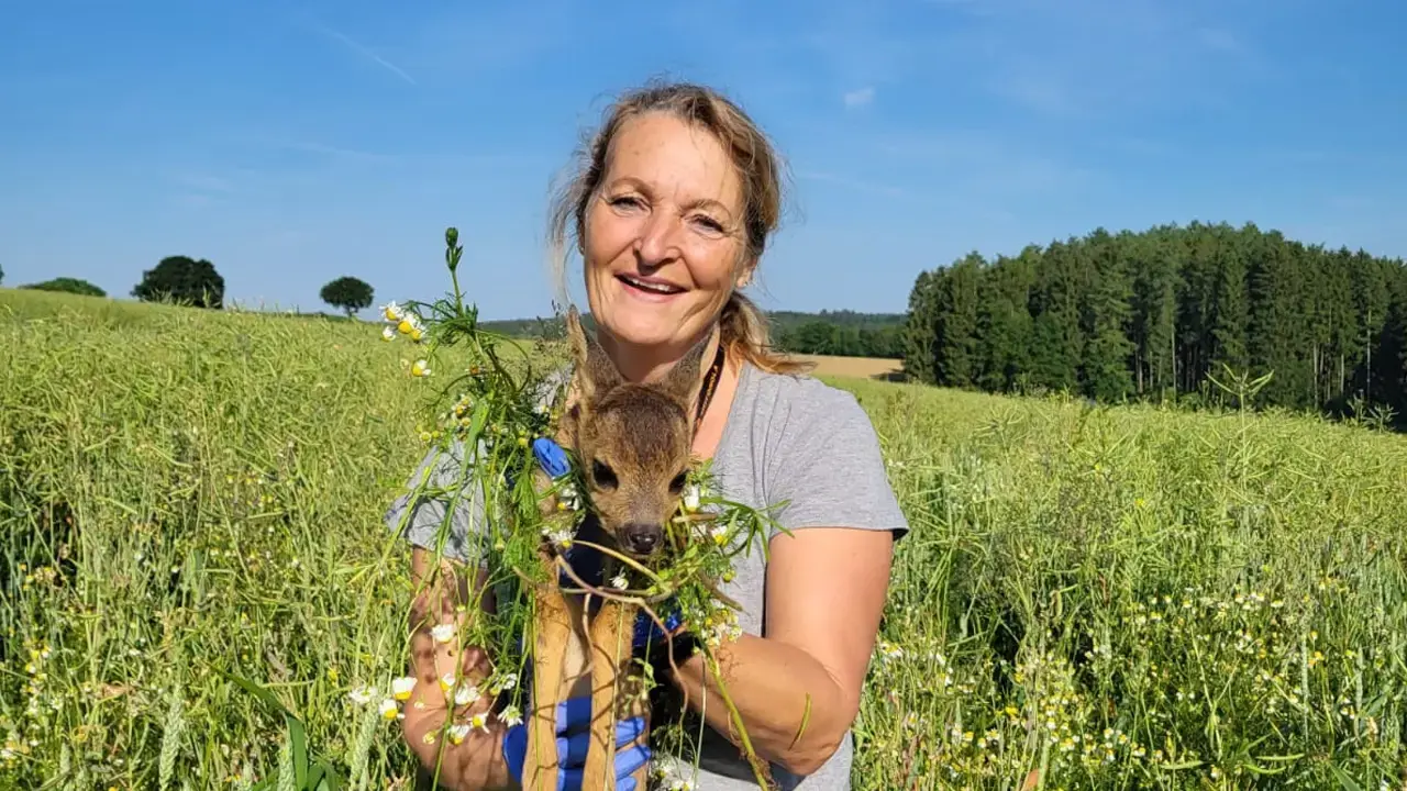 Rehkitz in sicheren Händen